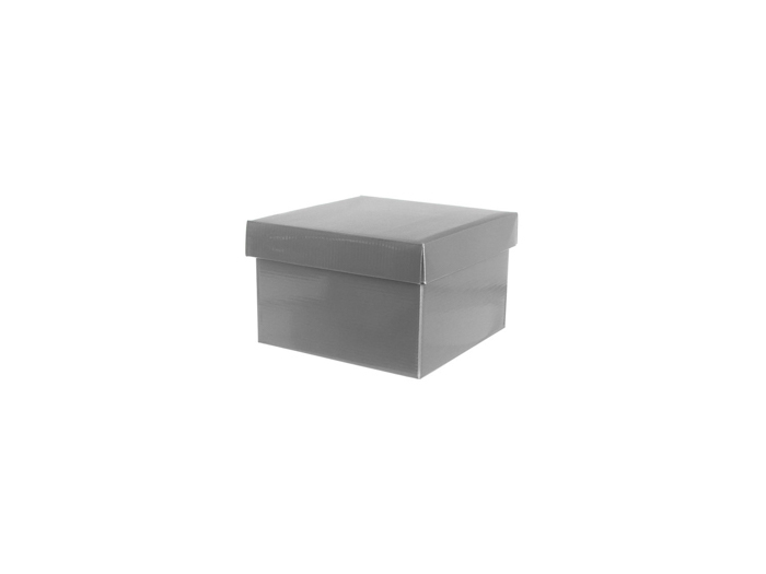 Silver Gift Box