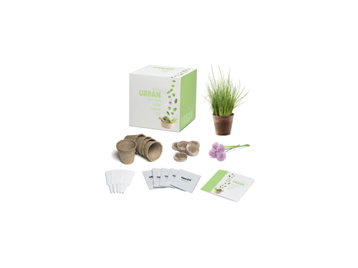 Kitchen Herbs Grow Kit